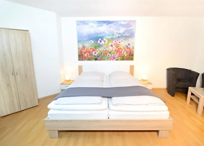 Apartment Strasbourg - Europapark / Wallaston
